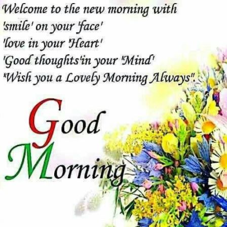 Happy Good Morning Wish you a lovely morning always Image