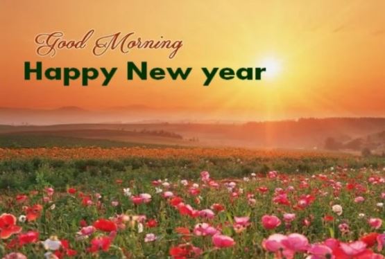 Good Morning Happy New Year Flowers Sun Image