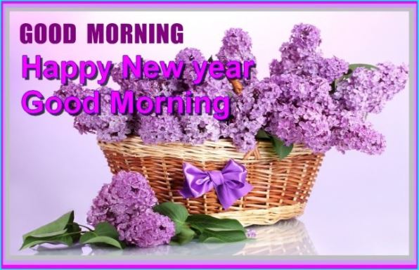 Good Morning Happy New Year Good Morning Image