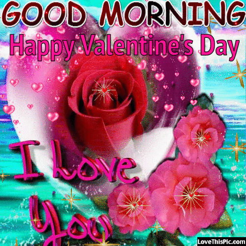 Good Morning Happy Valentine's Day I Love You GIF Video