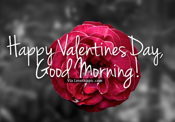 Happy-Valentines-Day-Good-Morning-Image-Picture