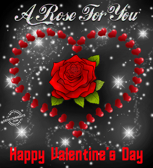 GIF Rose for You Happy Valentine's Day Image