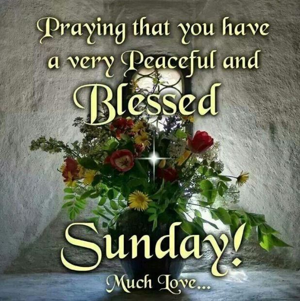Blessed Sunday Quotes Images Flowers