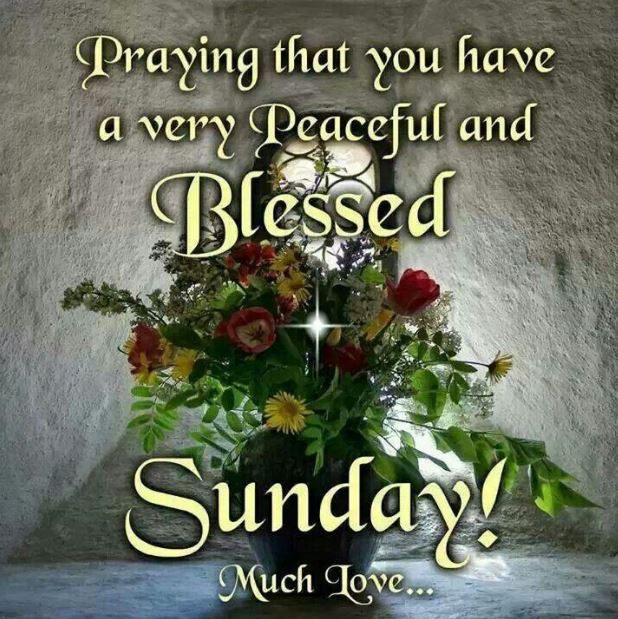 30 Good Morning Happy Sunday Images Quotes Gif Blessings Weekend Have A Blessed Sunday To All