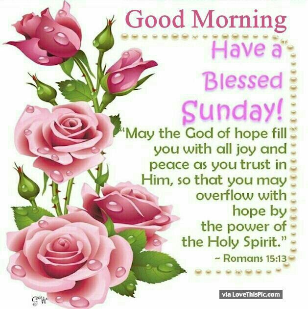 Good Morning Blessings Have a Blessed Sunday Wishes