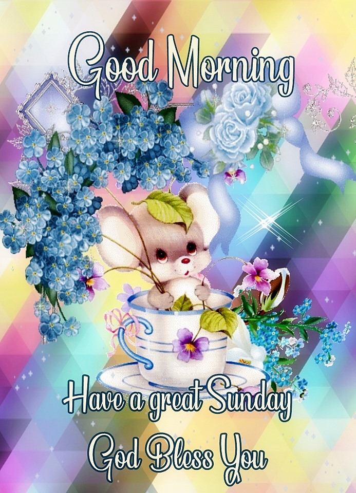 30 Good Morning Happy Sunday Images Quotes Gif Blessings