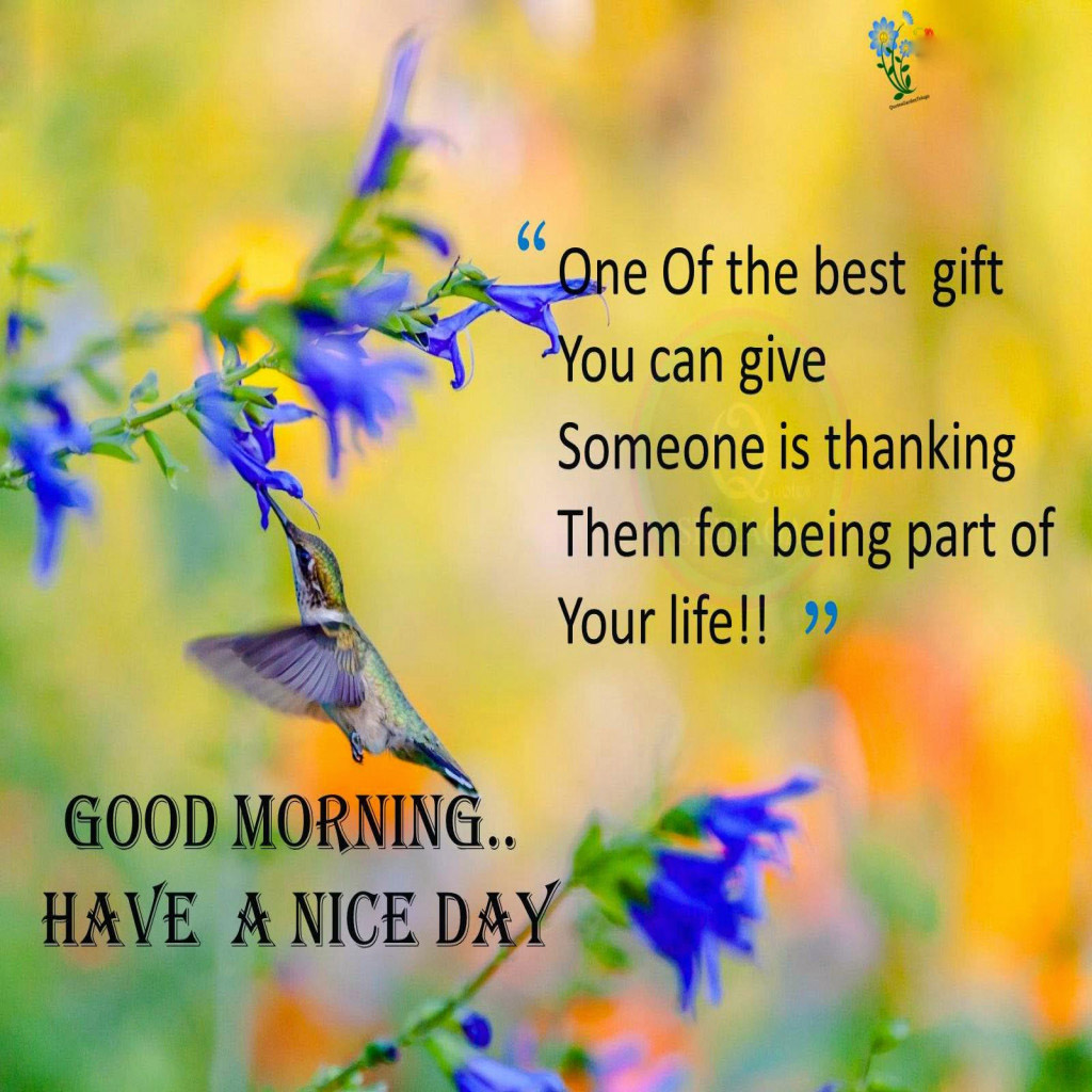 Good Morning Have a Nice Day Quotes Images