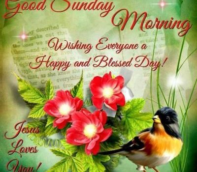 Good Sunday Morning Wishing Everyone a Happy and Blessed Day