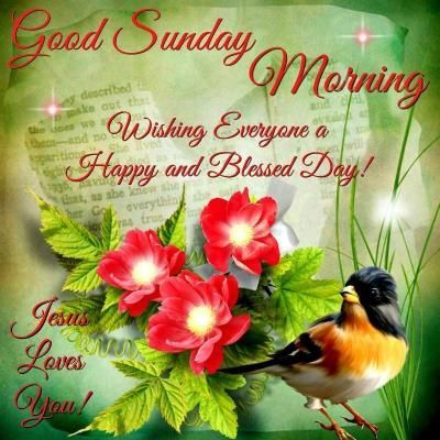 Good Sunday Morning Wishing Everyone a Happy and Blessed Day