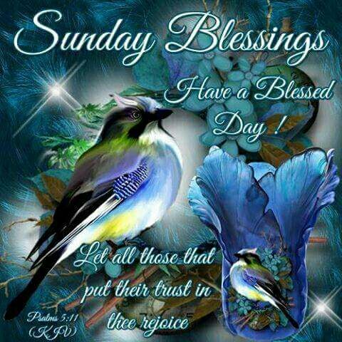 Happy Sunday Blessings Blessed Weekend Quotes Images