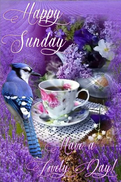 Happy Sunday Have a Lovely Wonderful Day Coffee Images