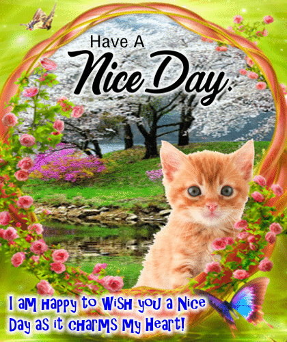 Have A Nice Day Wishes Images GIF