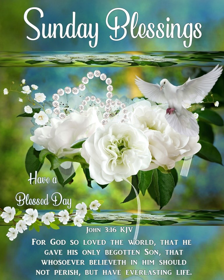 Sunday Blessings Have a Blessed Day Quotes Sayings Pictures