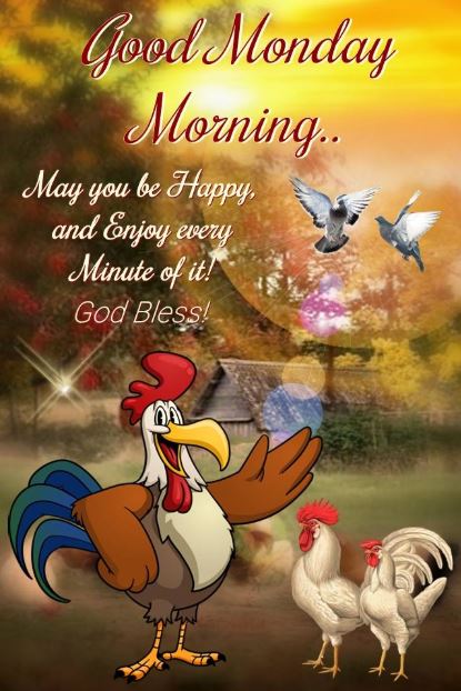 Good Monday Morning Beautiful Birds Hens Quotes Wishes God Bless Images