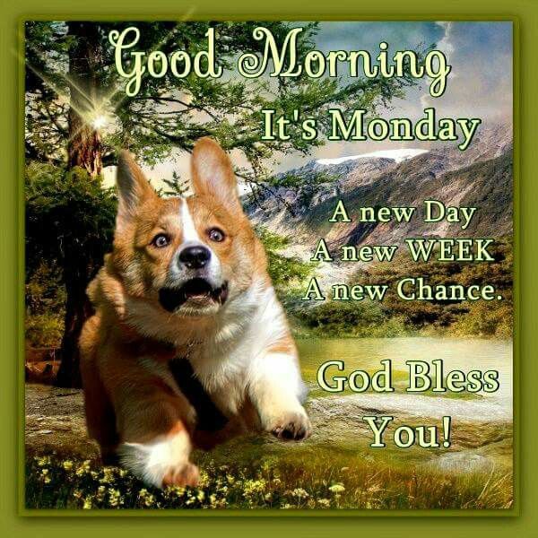 Good Morning It's Monday New Day New Week God Bless You