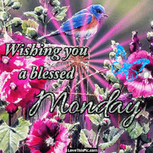 Wishing you a Blessed Monday Image GIF